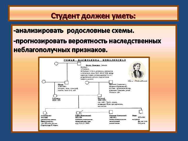 Студент должен уметь: -анализировать родословные схемы. -прогнозировать вероятность наследственных неблагополучных признаков. 