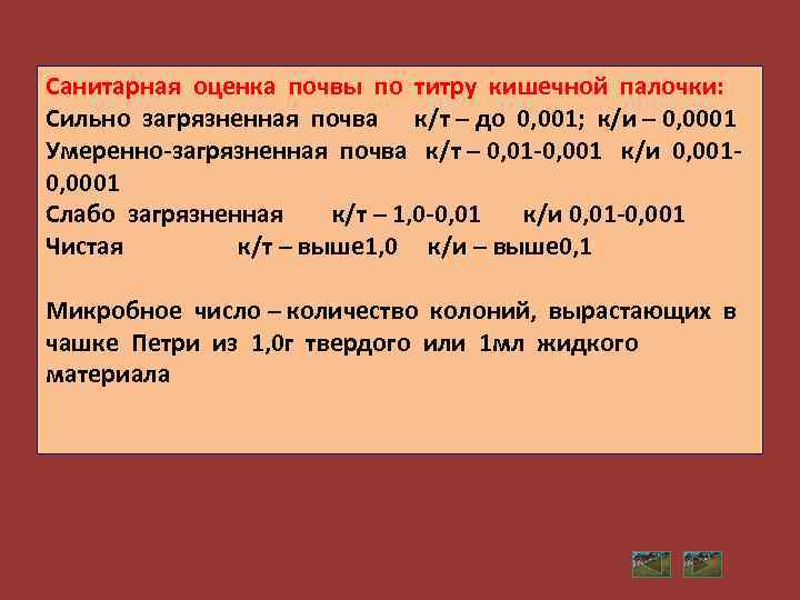 Санитарная оценка почвы по титру кишечной палочки: Сильно загрязненная почва к/т – до 0,