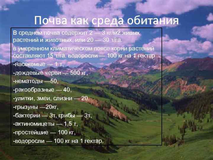 Почва как среда обитания В среднем почва содержит 2 — 3 кг/м 2 живых