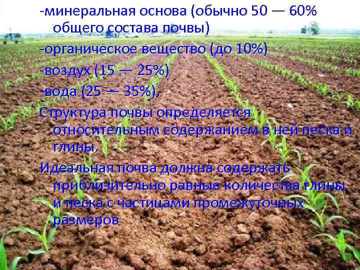 -минеральная основа (обычно 50 — 60% общего состава почвы) -органическое вещество (до 10%) -воздух