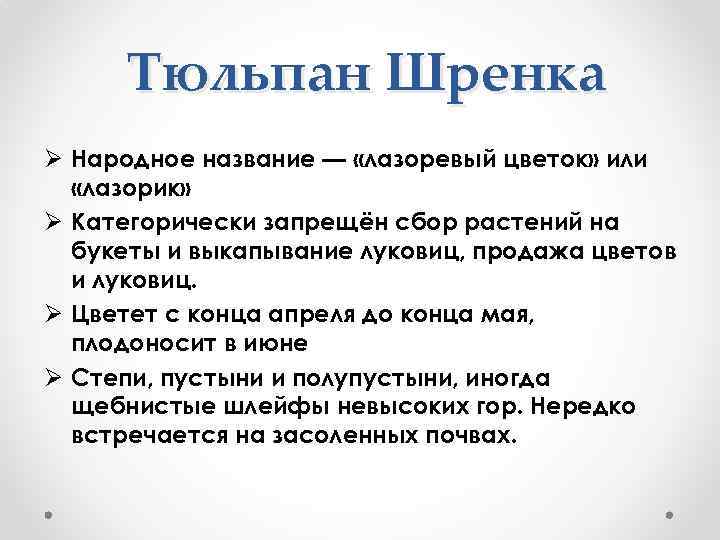 Тюльпан Шренка Ø Народное название — «лазоревый цветок» или «лазорик» Ø Категорически запрещён сбор