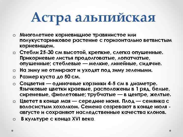 Астра альпийская o Многолетнее корневищное травянистое или полукустарниковое растение с горизонтально ветвистым корневищем. o