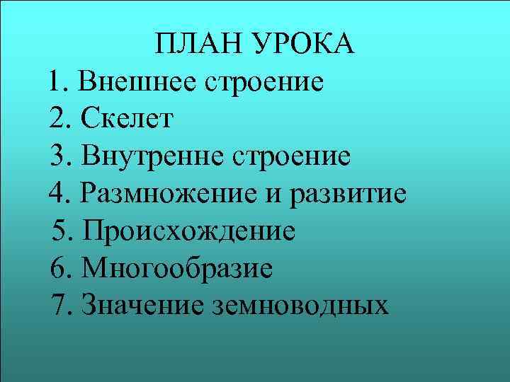 ПЛАН УРОКА 1. Внешнее строение 2. Скелет 3. Внутренне строение 4. Размножение и развитие