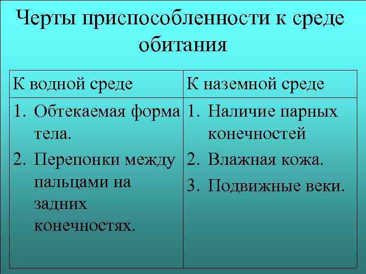 Черты приспособленности к среде обитания К водной среде 1. Обтекаемая форма тела. 2. Перепонки