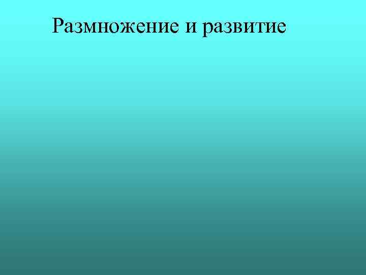 Размножение и развитие 