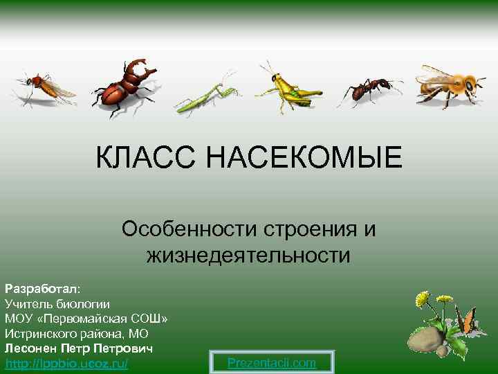 КЛАСС НАСЕКОМЫЕ Особенности строения и жизнедеятельности Разработал: Учитель биологии МОУ «Первомайская СОШ» Истринского района,