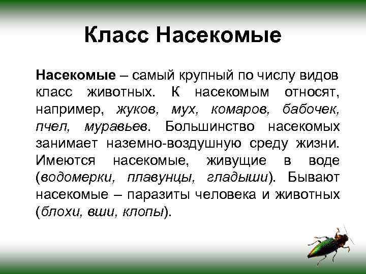 Класс Насекомые – самый крупный по числу видов класс животных. К насекомым относят, например,