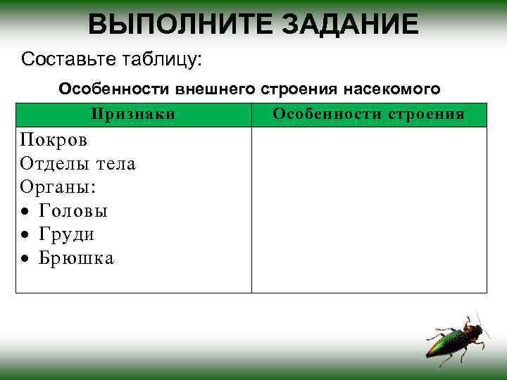 ВЫПОЛНИТЕ ЗАДАНИЕ Составьте таблицу: Особенности внешнего строения насекомого Признаки Особенности строения Покров Отделы тела