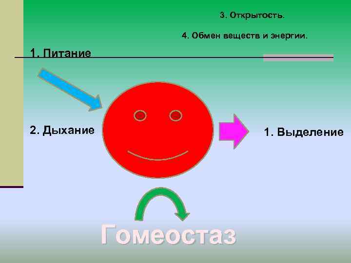 3. Открытость. 4. Обмен веществ и энергии. 1. Питание 2. Дыхание 1. Выделение Гомеостаз