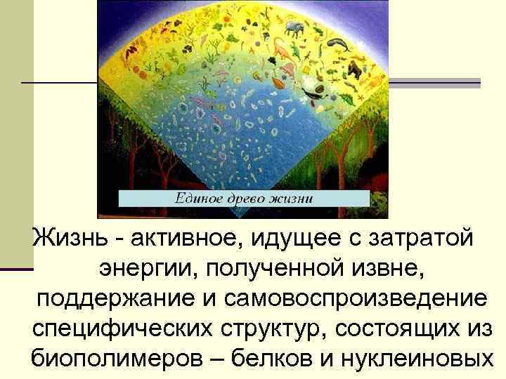 Жизнь - активное, идущее с затратой энергии, полученной извне, поддержание и самовоспроизведение специфических структур,