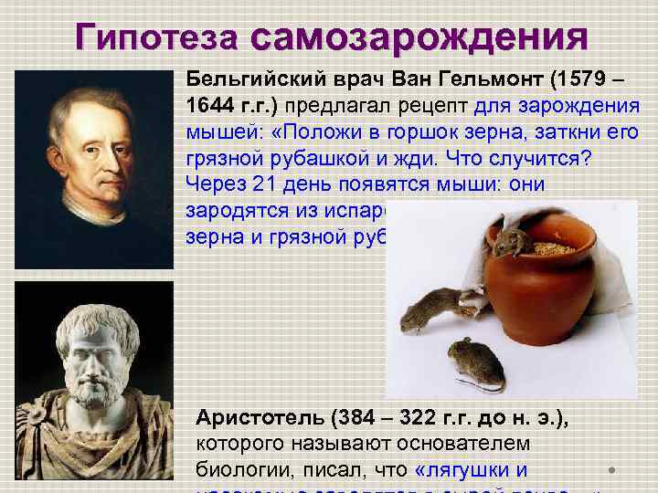 Гипотеза самозарождения Бельгийский врач Ван Гельмонт (1579 – 1644 г. г. ) предлагал рецепт