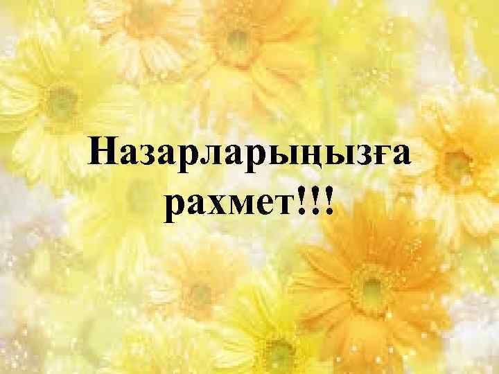 Назарларыңызға рахмет!!! 