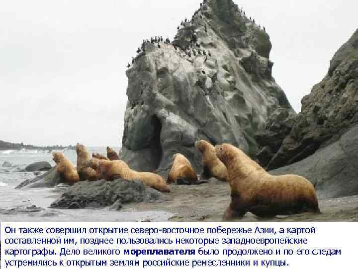 Он также совершил открытие северо-восточное побережье Азии, а картой составленной им, позднее пользовались некоторые