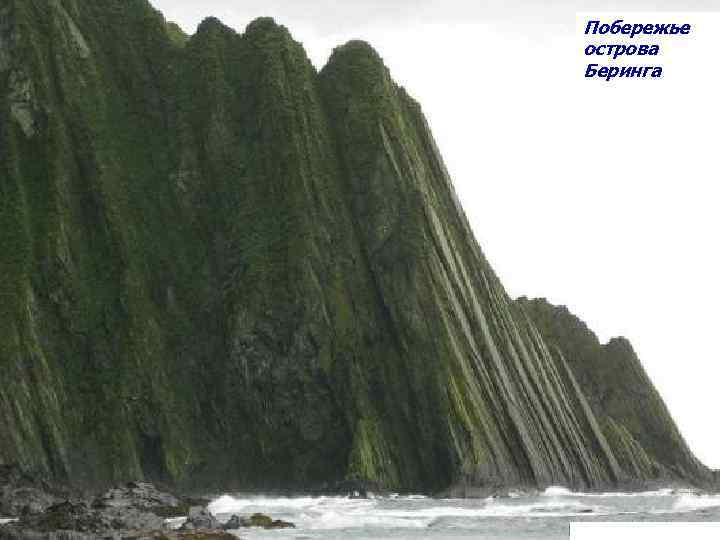 Побережье острова Беринга 