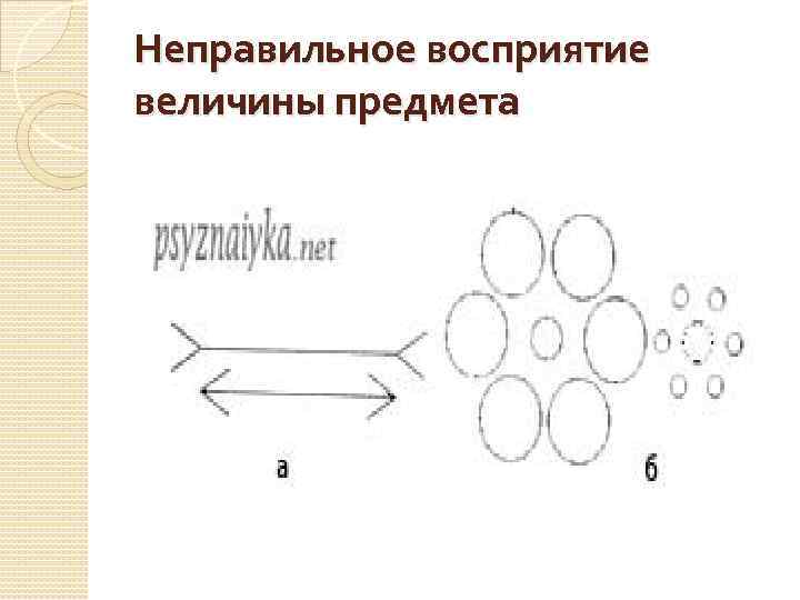 Неправильное восприятие величины предмета 