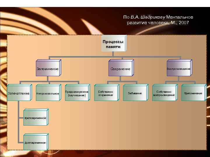 По В. А. Шадрикову Ментальное развитие человека, М. , 2007 Процессы памяти Запоминание Запечатление