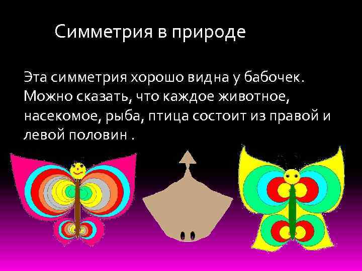 Симметрия в природе Эта симметрия хорошо видна у бабочек. Можно сказать, что каждое животное,