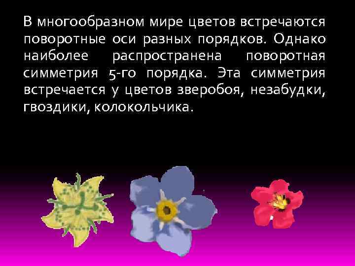 В многообразном мире цветов встречаются поворотные оси разных порядков. Однако наиболее распространена поворотная симметрия