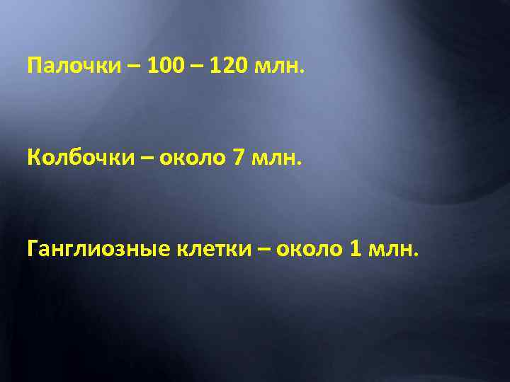 Палочки – 100 – 120 млн. Колбочки – около 7 млн. Ганглиозные клетки –