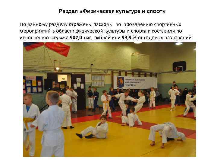 Раздел «Физическая культура и спорт» По данному разделу отражены расходы по проведению спортивных мероприятий
