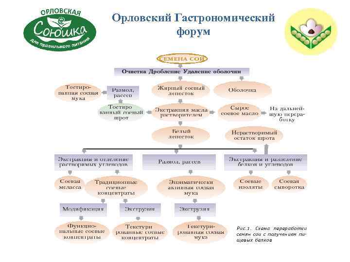 Орловский Гастрономический форум Схема переработки 