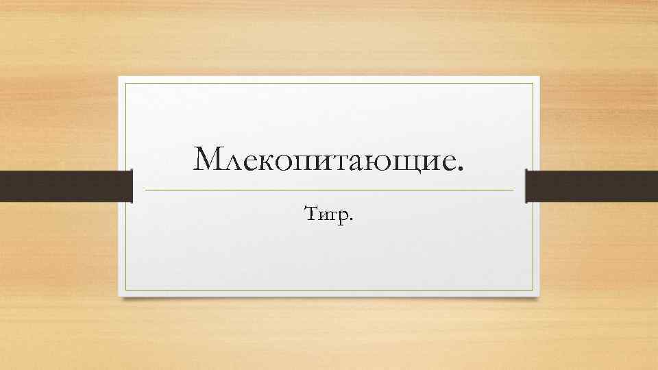 Млекопитающие. Тигр. 