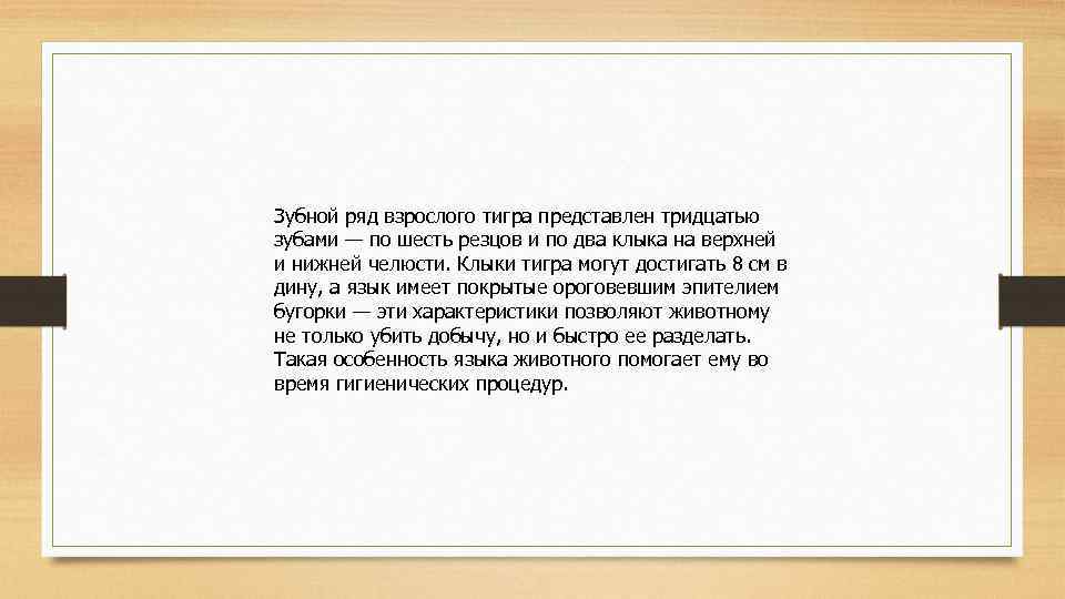 Зубной ряд взрослого тигра представлен тридцатью зубами — по шесть резцов и по два