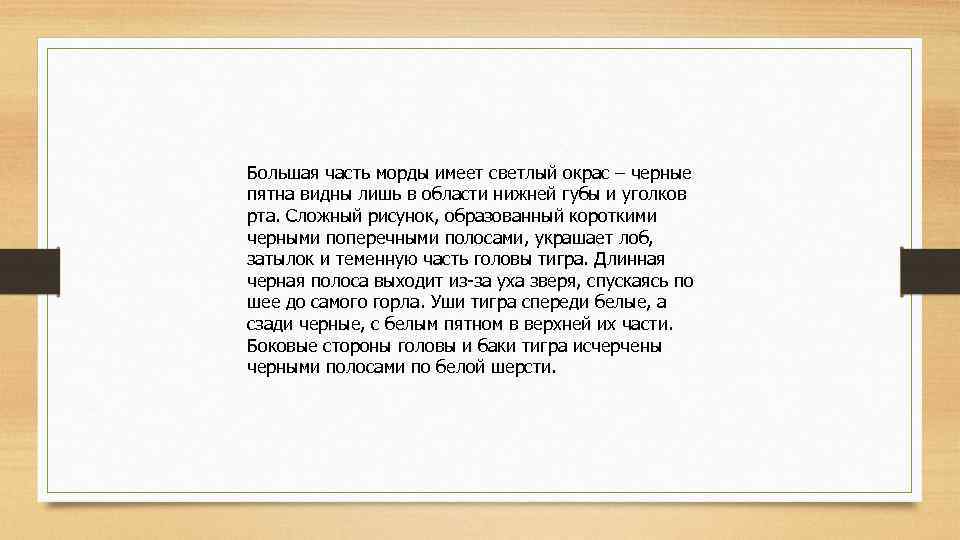 Большая часть морды имеет светлый окрас – черные пятна видны лишь в области нижней