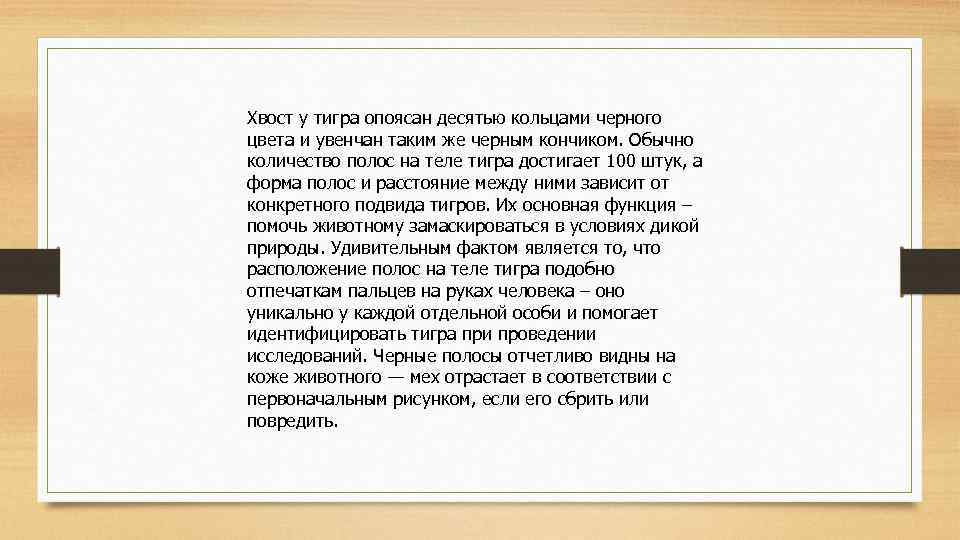 Хвост у тигра опоясан десятью кольцами черного цвета и увенчан таким же черным кончиком.