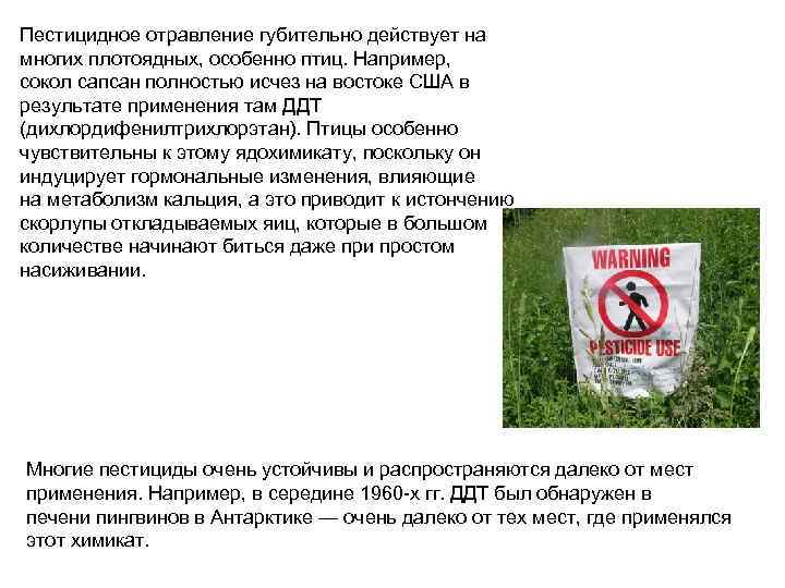 Пестицидное отравление губительно действует на многих плотоядных, особенно птиц. Например, сокол сапсан полностью исчез