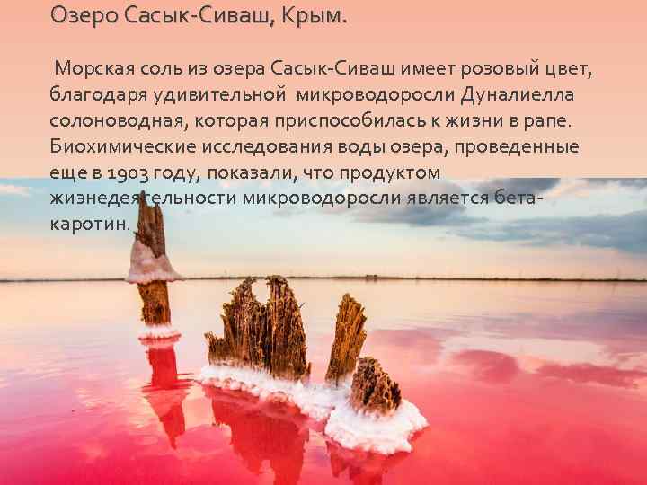 Озеро Сасык-Сиваш, Крым. Морская соль из озера Сасык-Сиваш имеет розовый цвет, благодаря удивительной микроводоросли