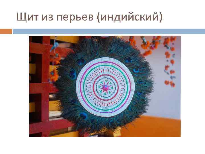 Щит из перьев (индийский) 