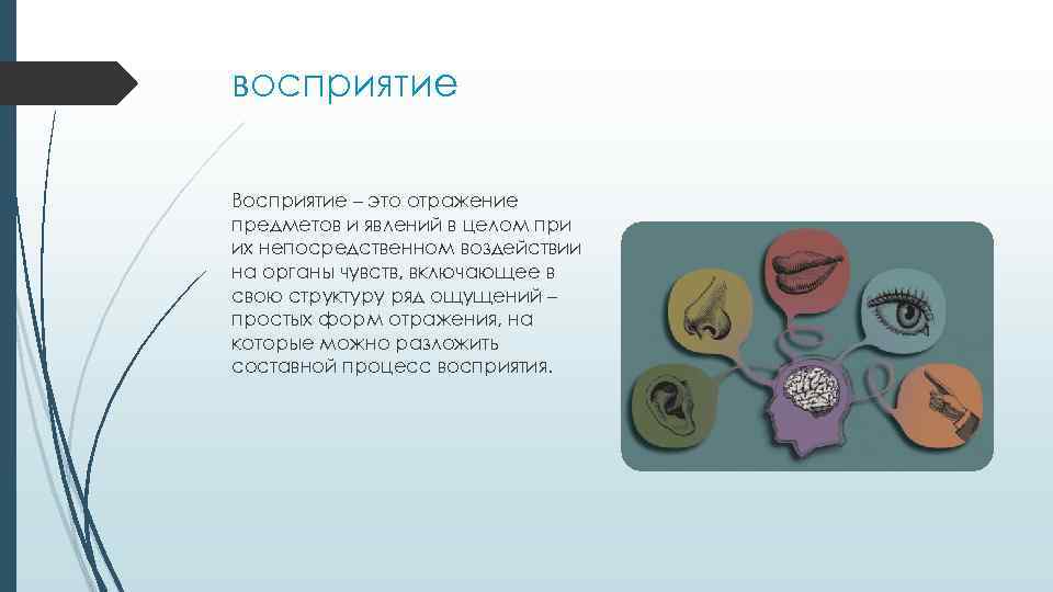 восприятие Восприятие – это отражение предметов и явлений в целом при их непосредственном воздействии