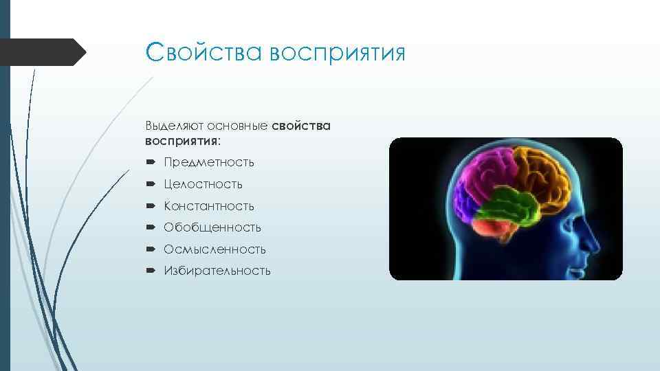 Свойства восприятия Выделяют основные свойства восприятия: Предметность Целостность Константность Обобщенность Осмысленность Избирательность 