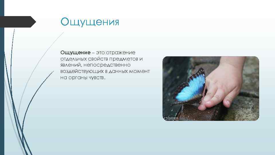 Ощущения Ощущение – это отражение отдельных свойств предметов и явлений, непосредственно воздействующих в данных