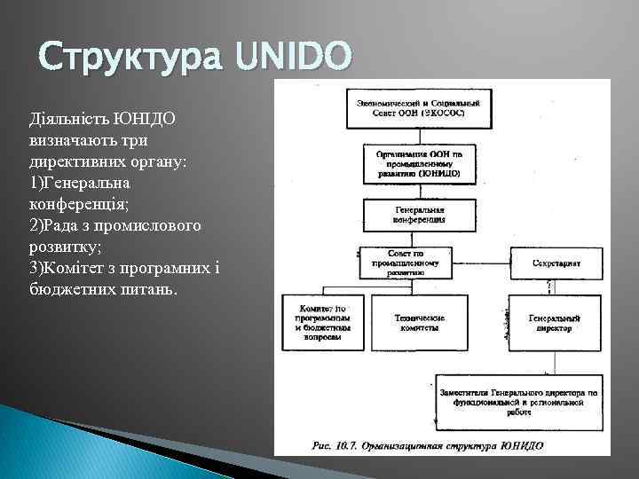 Структура UNIDO Діяльність ЮНІДО визначають три директивних органу: 1)Генеральна конференція; 2)Рада з промислового розвитку;