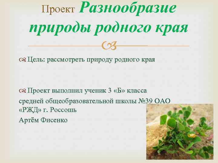 Проект Разнообразие природы родного края Цель: рассмотреть природу родного края Проект выполнил ученик 3