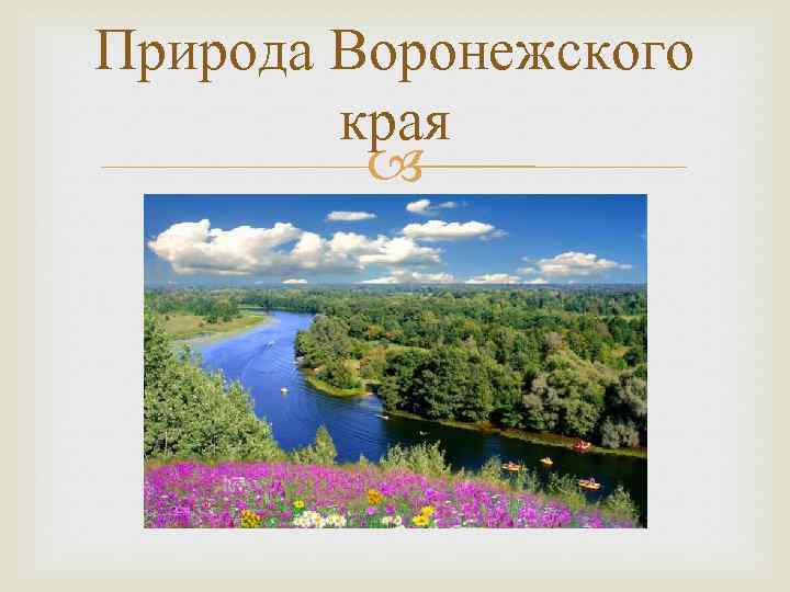Природа Воронежа Фото