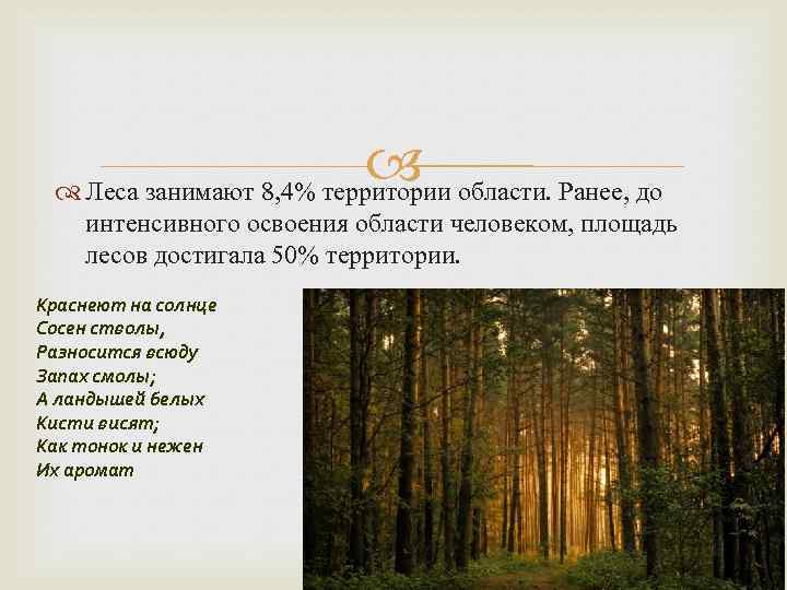  Леса занимают 8, 4% территории области. Ранее, до интенсивного освоения области человеком, площадь