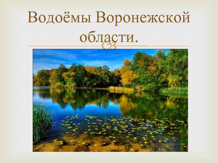 Воронежская Природа Фото