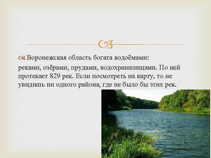 Воронежская Природа Фото