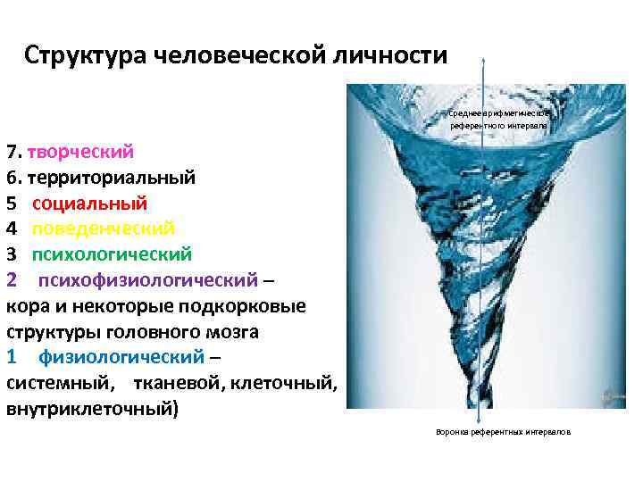 Структура человеческой личности Среднее арифметическое референтного интервала 7. творческий 6. территориальный 5 социальный 4