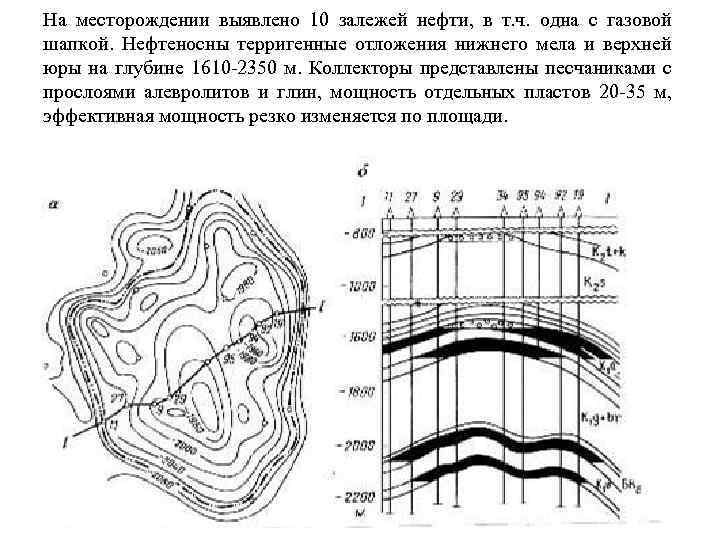 На месторождении выявлено 10 залежей нефти, в т. ч. одна с газовой шапкой. Нефтеносны