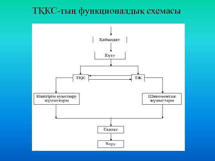 ТҚКС-тың функционалдық схемасы 