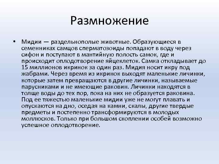 Размножение • Мидии — раздельнополые животные. Образующиеся в семенниках самцов сперматозоиды попадают в воду