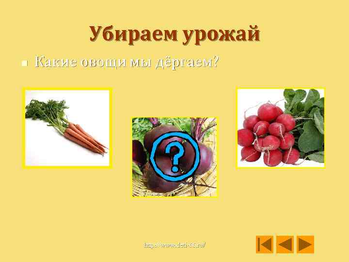 Убираем урожай n Какие овощи мы дёргаем? http: //www. deti-66. ru/ 