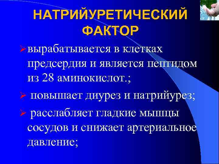 НАТРИЙУРЕТИЧЕСКИЙ ФАКТОР Ø вырабатывается в клетках предсердия и является пептидом из 28 аминокислот. ;