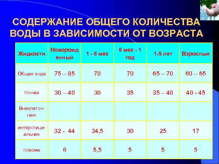 СОДЕРЖАНИЕ ОБЩЕГО КОЛИЧЕСТВА ВОДЫ В ЗАВИСИМОСТИ ОТ ВОЗРАСТА Жидкости Новорожд енный 1 - 6