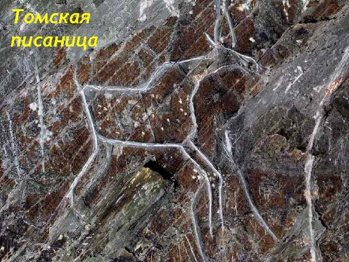 Томская писаница 