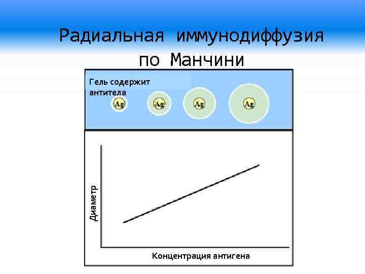 Реакция двойной иммунодиффузии по оухтерлони картинки